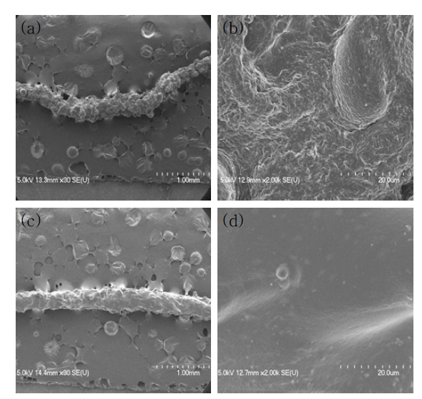 SCT/SA 복합 fiber의 표면 FE-SEM 촬영결과 [1:1-(a) 30X, (b) 2,000X / 1:2-(c) 30X, (d) 2,000X]