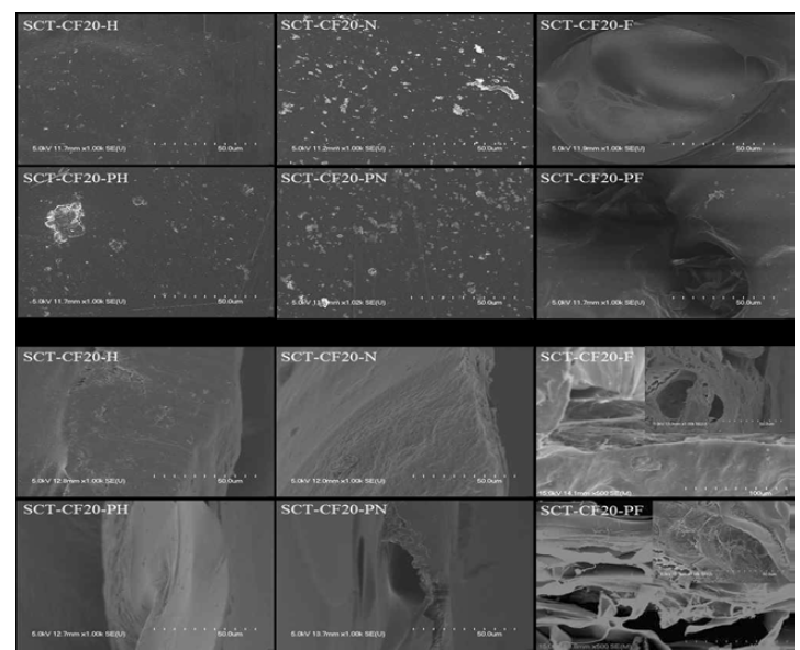 SEM image of cellulose films derived from SCT.