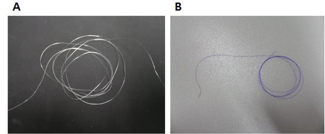 (A) 본 연구팀이 제조한 봉합사 (B) 시중에 판매중인 catgut 봉합사