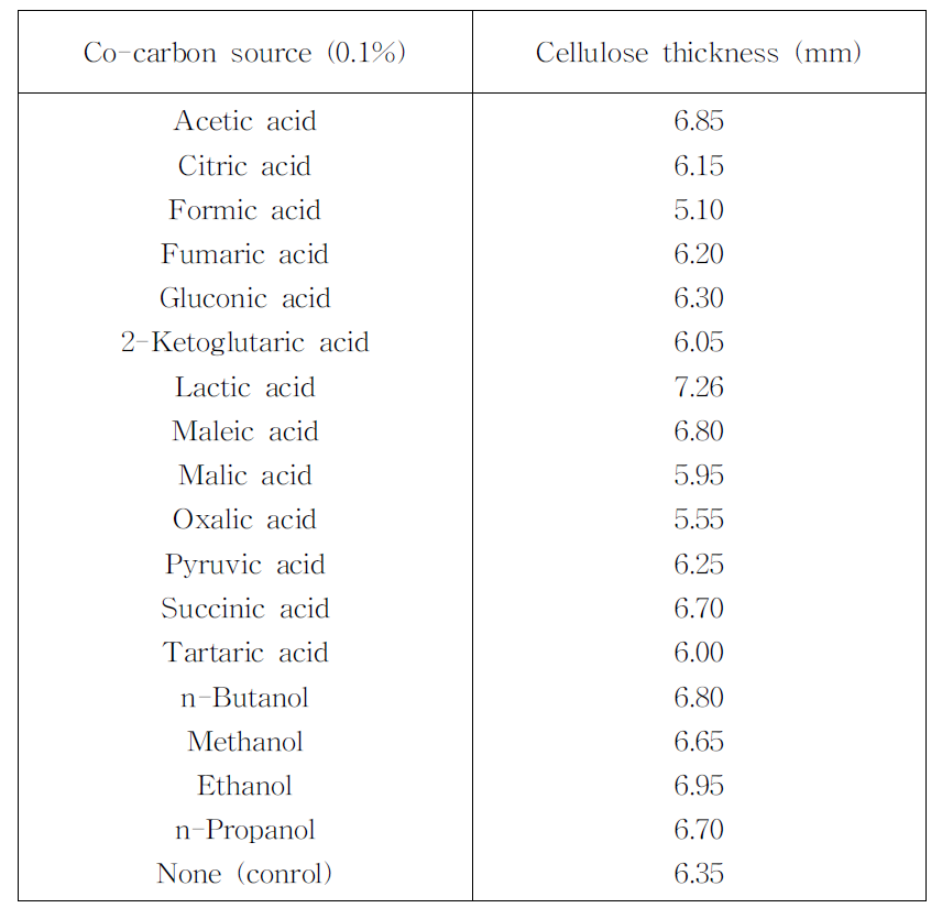 Effect of co-carbon source on cellulose production by Acetobacter sp. F15