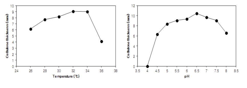 Effect of temperature and initial pH on cellulose production by Acetobacter sp. F15.