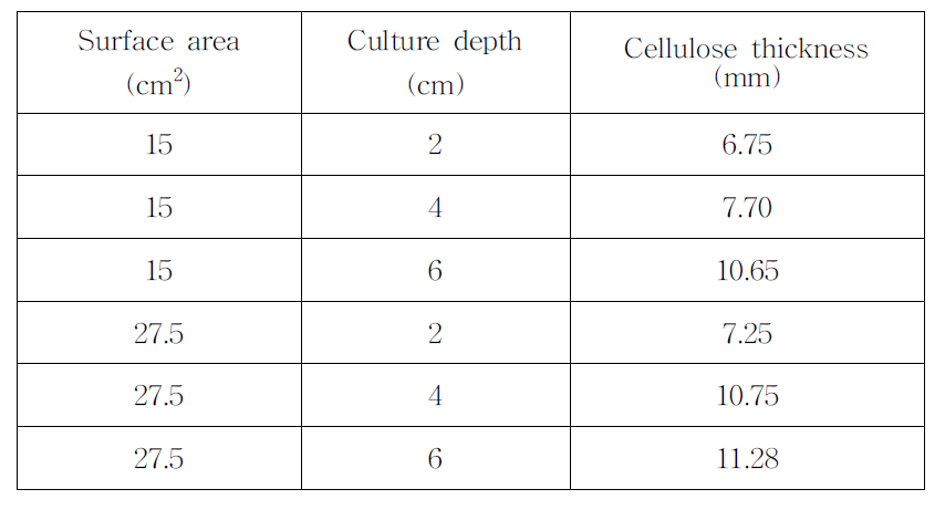 Effect of culture volume and depth on the production of cellulose at a constant surface-area of 15 and 27.5 cm2