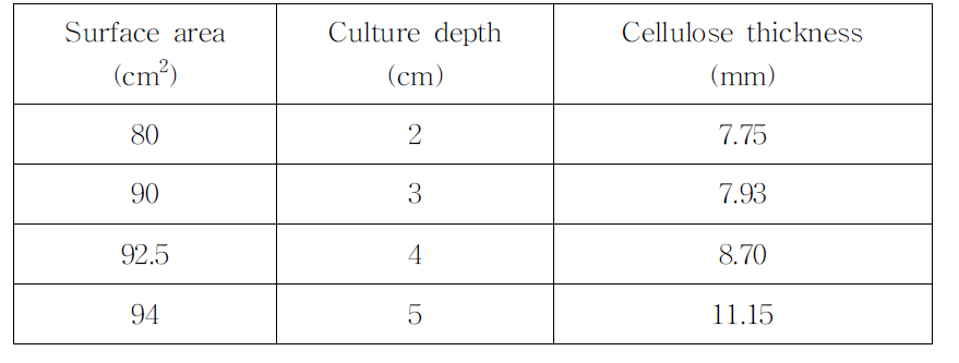 Effect of culture surface-area and depth on the production of cellulose in vessels of various diameters