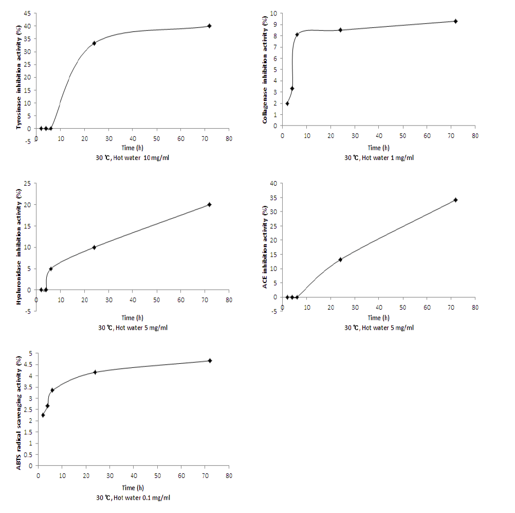 Biological activities of microbial cellulose impregnated with hot water extract of Styela clava tunic (30℃).