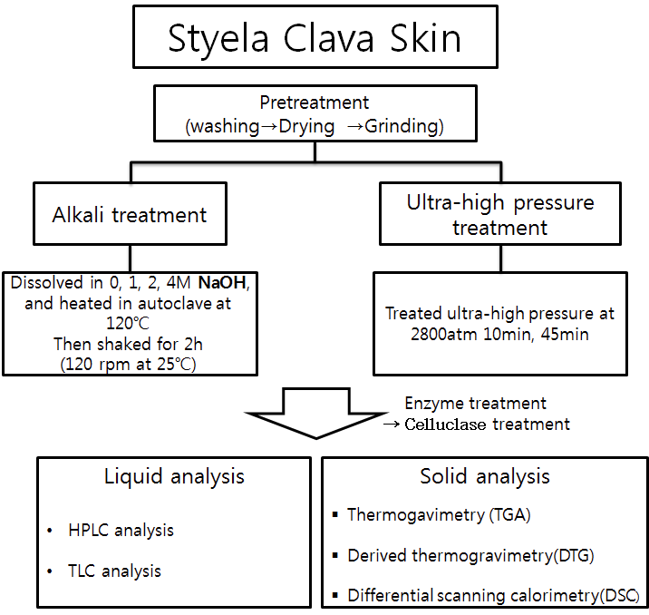 Schematic diagram of ultra-high pressure and alkaline treatment on Styela calva tunic.