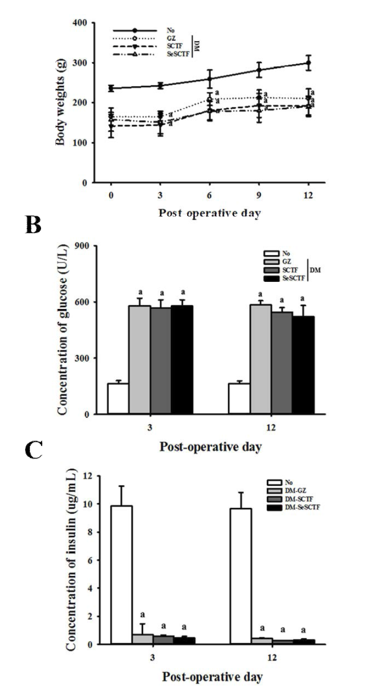 시간에 따른 SD 랫드의 체중(A), 혈액 내 글루코오스 농도(B) 및 혈청 내 인슐린 농도(C) 분석
