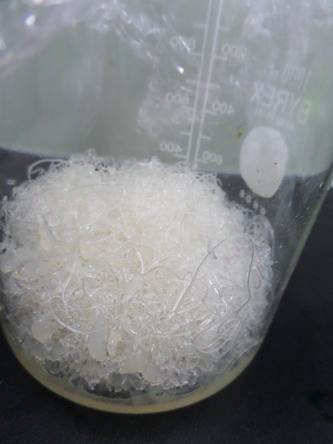 메탄올에 침지된 5 wt% 미더덕 fiber