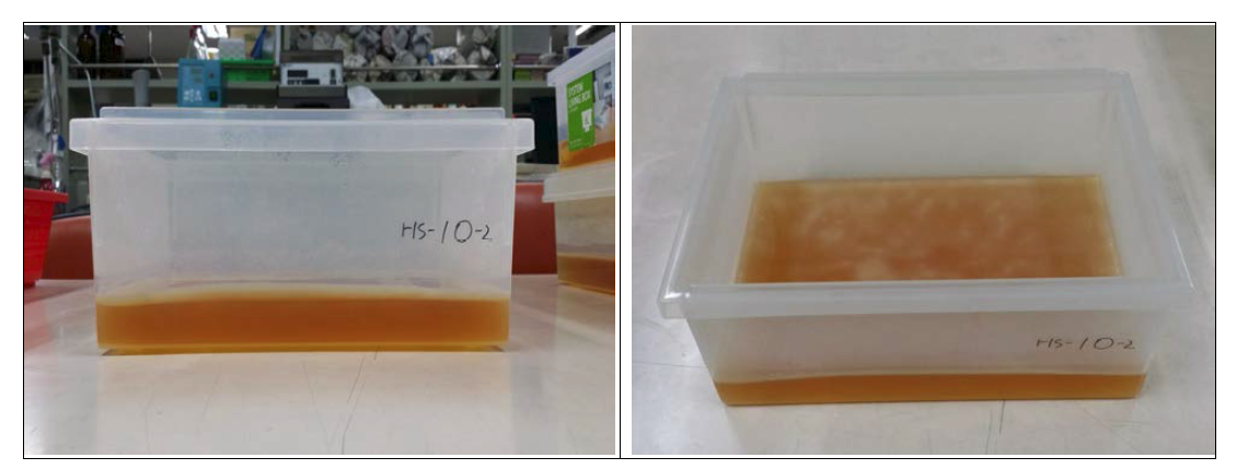 Mass production of bacterial cellulose using tray.