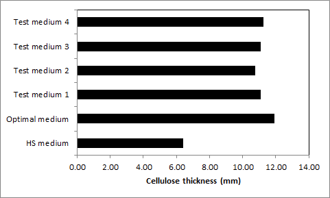 Cellulose production in enzymatic hydrolysate of Styela clava tunic.