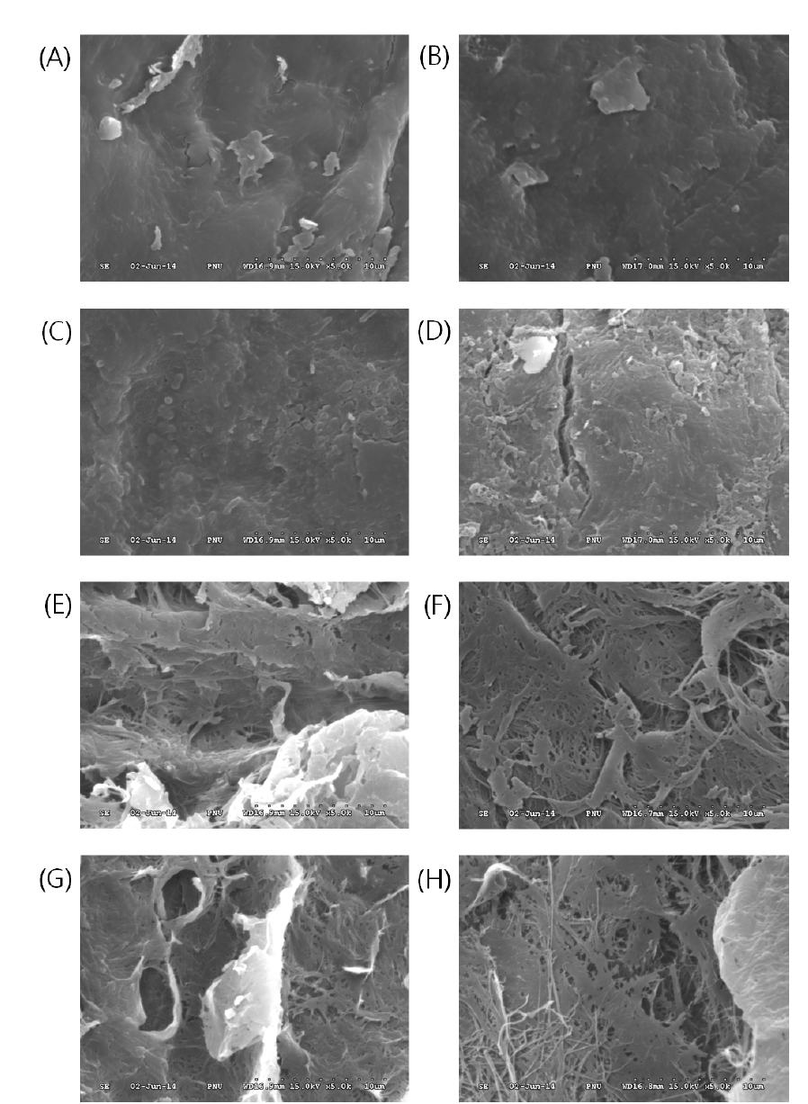 Scanning electron micrograph of Styela calva tunic according to alkaline treatment and celluclast 1.5L treatment(5K).