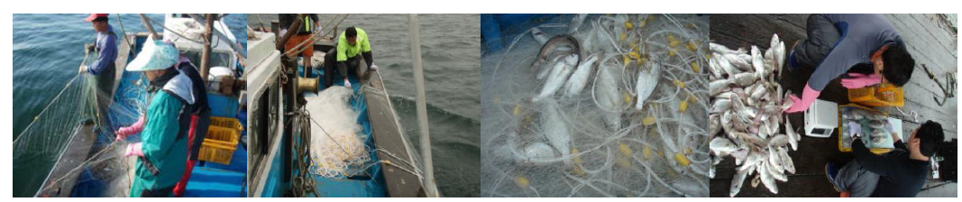 Sights of fishing operation on the fishing performance of the Bio-new gillnet.