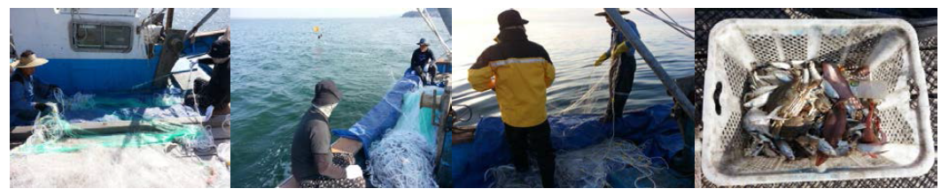 Sights of fishing operation on the fishing performance of the Bio-new gillnet.