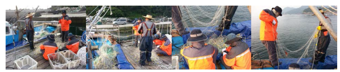 Sights of fishing operation on the fishing performance of the Bio-new gillnet in Yeosu.