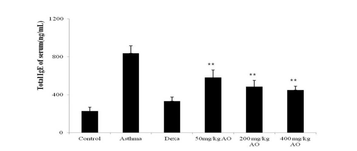 Effects of AO on the OVA-induced upregulation of serum IgE levels.