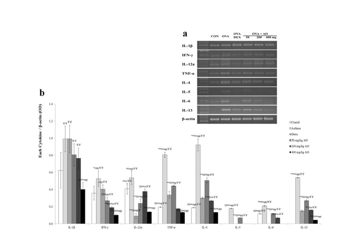 AO suppressed the expression of Th1/2-related cytokines in OVA-induced asthma.