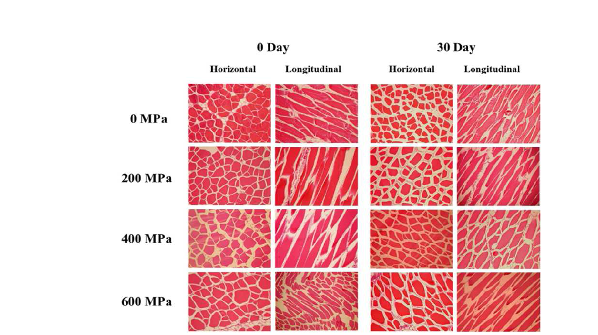 Ultra-high pressure induced the histological changes of salmon (Oncorhynchusketa) flesh.