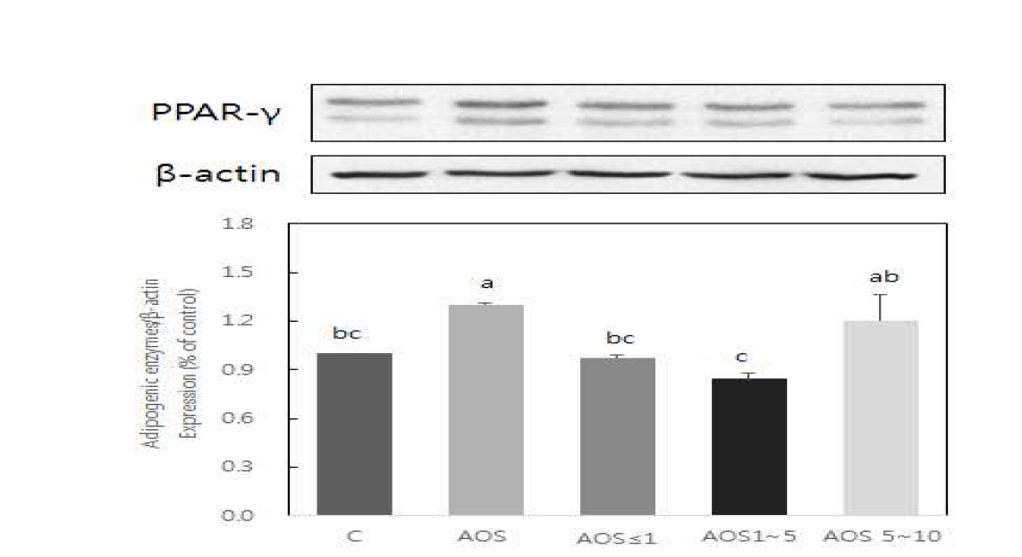 Effect of alginate oligosaccharides on PPAR- expression in 3T3-L1 adipocytes.