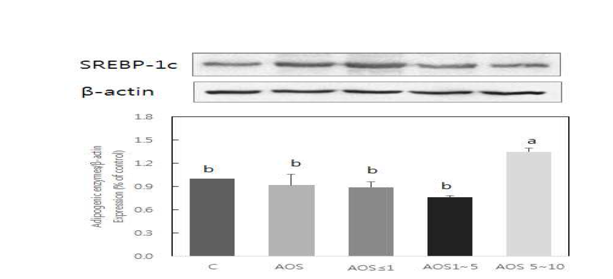 Effect of alginate oligosaccharides on SREBP-1c expression in 3T3-L1 adipocytes.