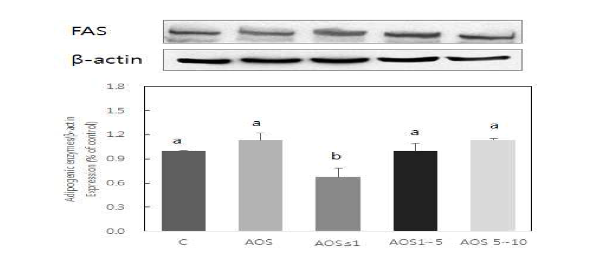 Effect of alginate oligosaccharides on FAS expression in 3T3-L1 adipocytes.