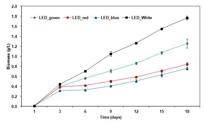 LED 광생물배양기 배양 기간 동안 스피룰리나 생체량 변화