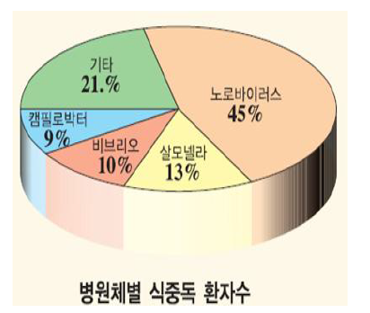 일본에서의 병원체별 식중독 환자 수 (2001-2004)