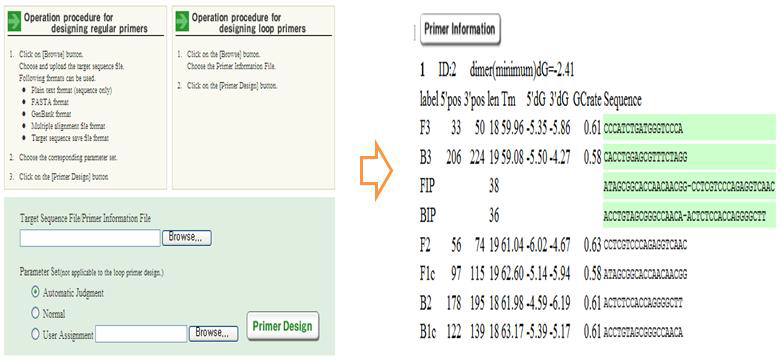 Primer Explorer V4를 이용한 LAMP primer 디자인