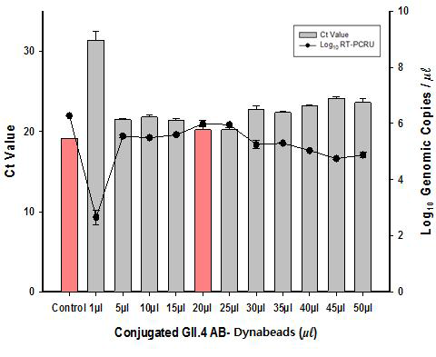 Norovirus GII.4 type의 단클론 펩타이드 항체와 Dynabeads를 이용한 IMS-methods의 효율성 평가