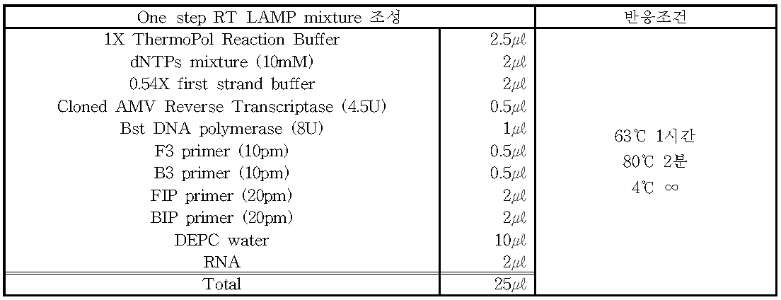 Norovirus GII one-step RT-LAMP mixture 조성과 반응조건