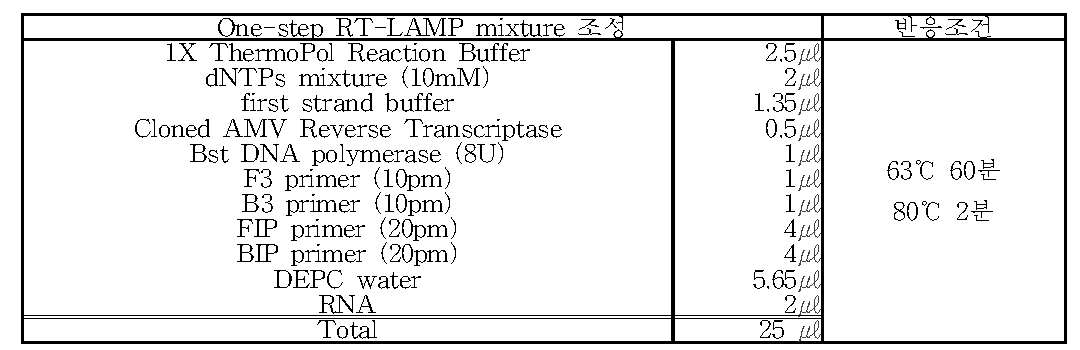 One-step RT-LAMP mixture 조성과 반응조건
