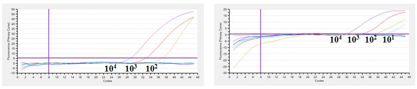 Norovirus real-time RT-PCR 민감도 결과