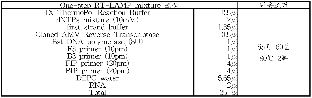 최종 norovirus 검출키트의 mixture 조성과 반응조건