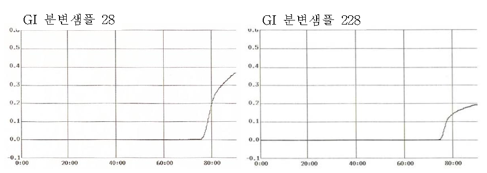 LA-500 이용한 선행 norovirus LAMP 검출 결과