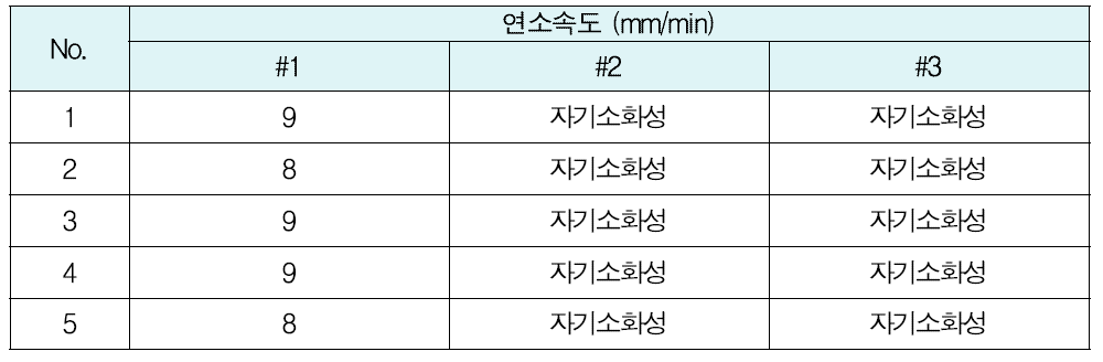 페인터의 난연성능 시험결과(KS M ISO 9772 UL 94 HBF 등급)