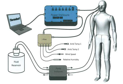 Thermal manikin system