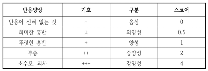 판독 기준 및 스코어