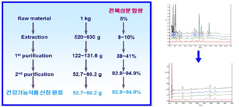 추출물의 정제과정을 통한 함량 변화