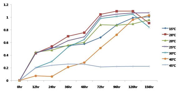 전복느타리버섯 균사체의 온도별 생장 곡선