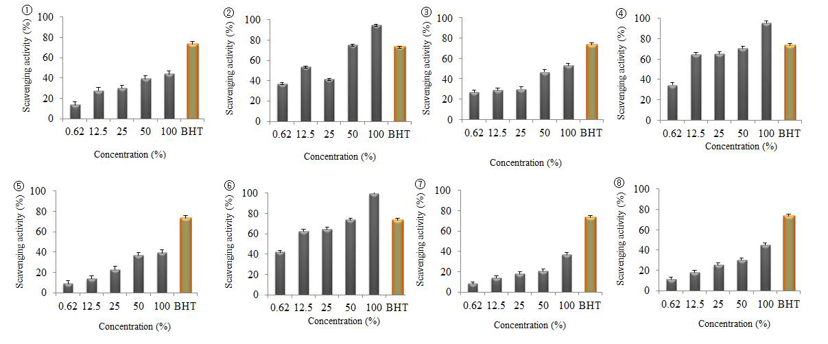 Dose dependant ABTS radical scavenging activity of the sample with different concentration (%). Butylated hydroxytoluene (BHT, 62.5ug/ml) was used as a positive control. Each value is expressed as the mean SD (n = 3).