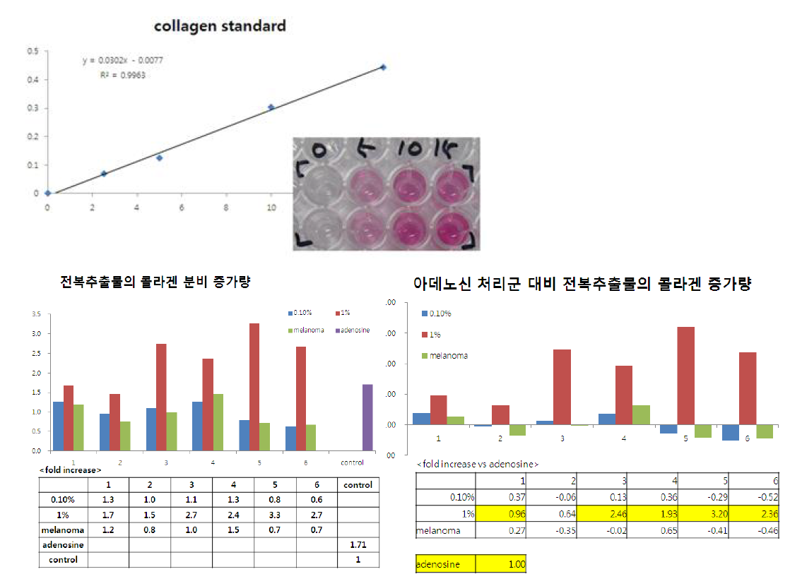 전복추출물을 이용한 콜라겐 시험 측정 결과