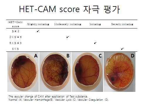 HET-CAM score 자극 평가 방법