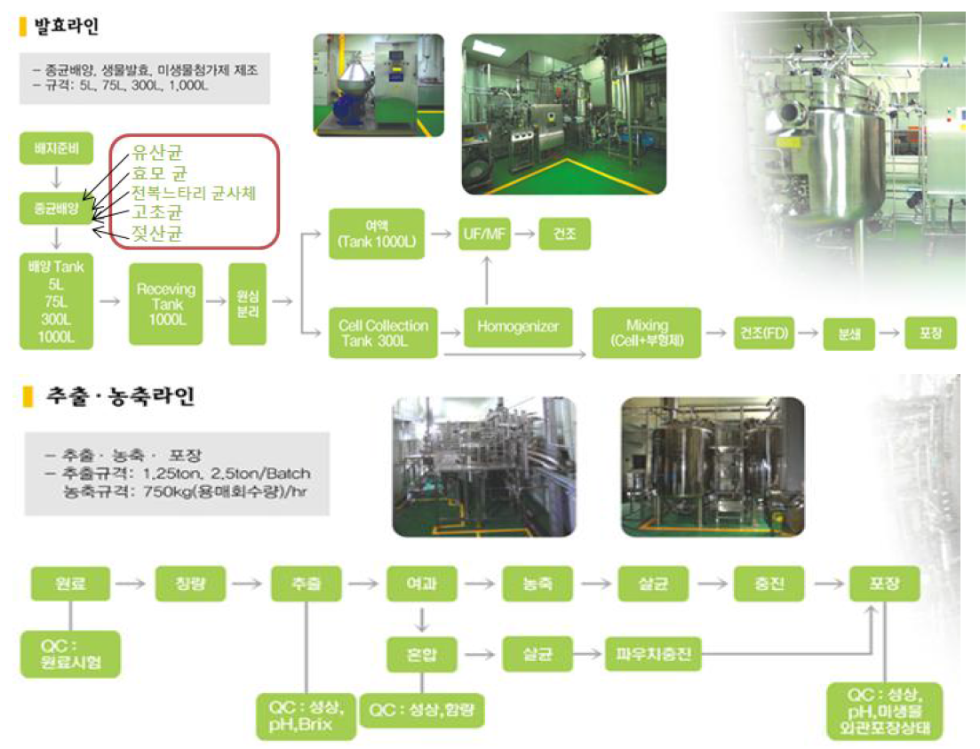 기능성 화장품소재인 전복발효추출물의 발효공정 모식도