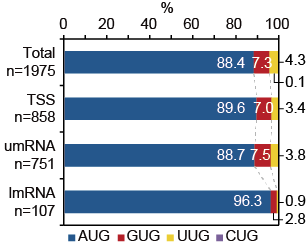 umRNA와 lmRNA의 시작코돈 사용비율