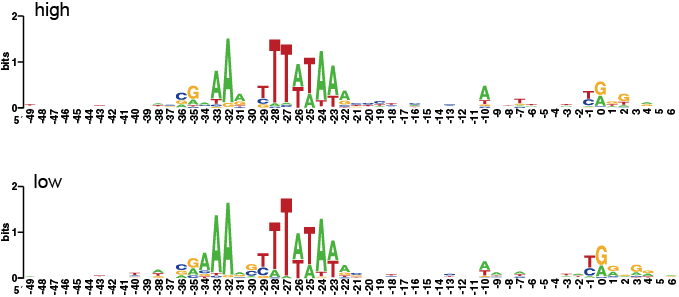 RNA 발현양이 높은 유전자 (high)와 낮은 유전자 (low)의 프로모터 모티프 비교