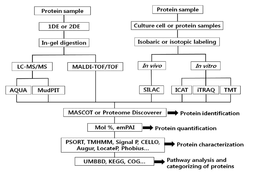 Diagram of proteome analysis techniques used for Thermococcus sp. NA1