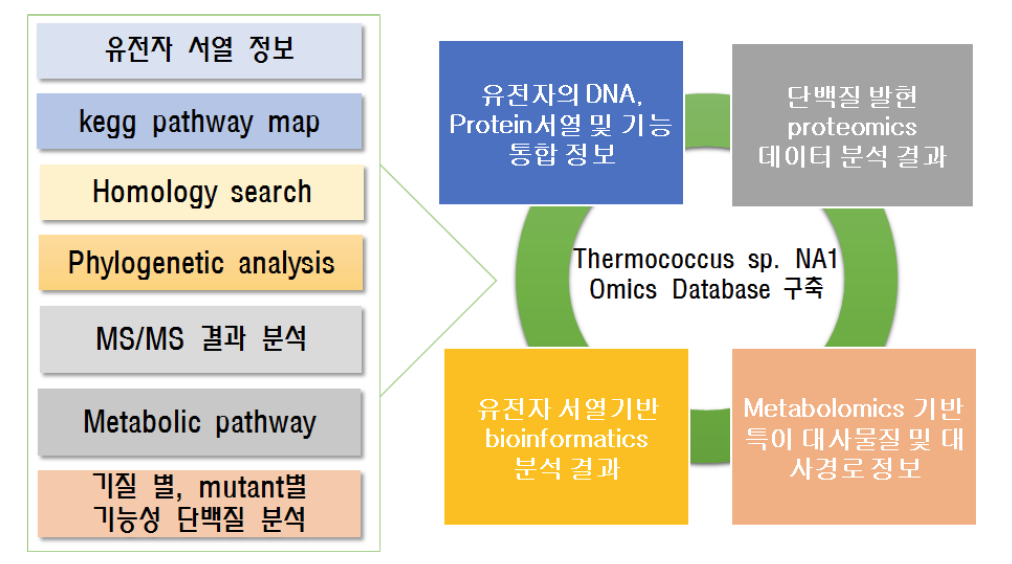 Construction of global protein map in Thermococcus sp. NA1