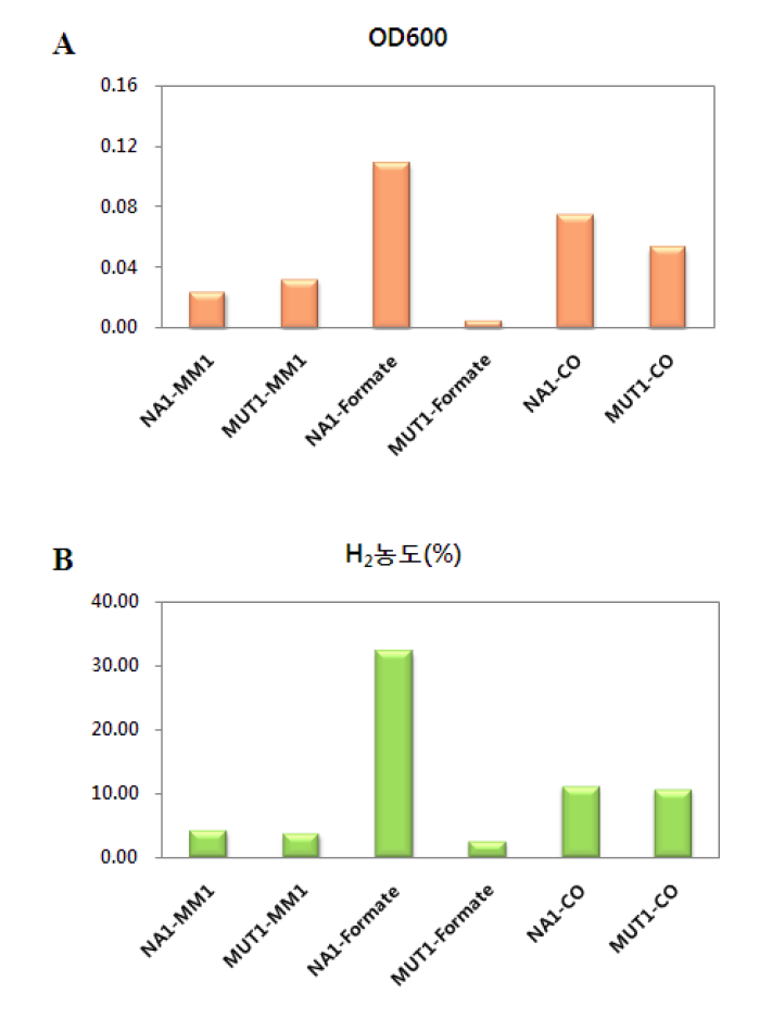 NA1과 MUT1의 균체 생장률과 수소 생산성 비교