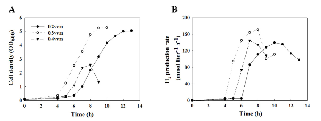 MC02 우수균주의 CO 공급량에 따른 세포생장과 수소생산속도 비교