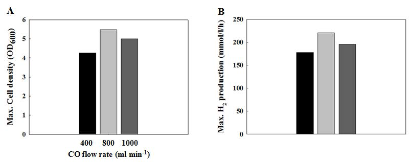 우수균주 (WTC156T)의 CO 공급속도에 따른 최대 세포생장과 최대 수소생산성 비교