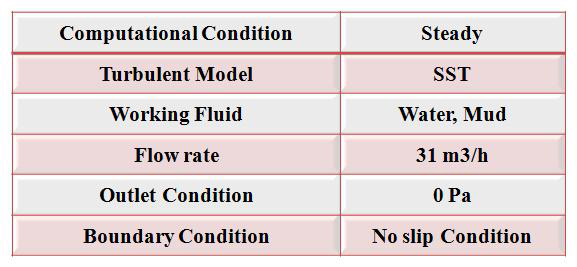 Boundary Condition for Flow Analysis