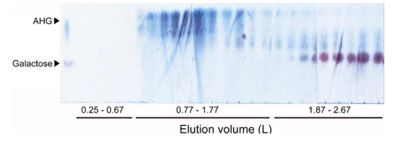 Silical gel chromatography를 이용한 아가로스 효소 당화 산물 중 L-AHG의 정제